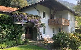 Ferienhaus am See
